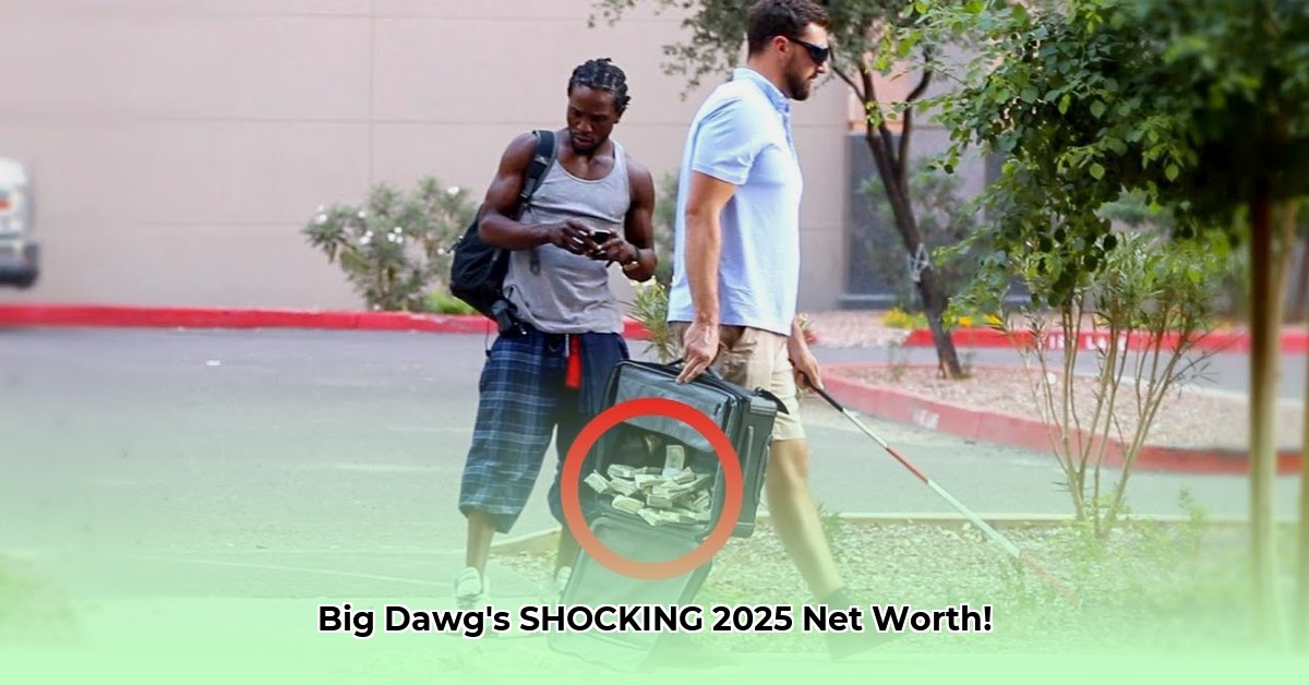 big-daws-net-worth